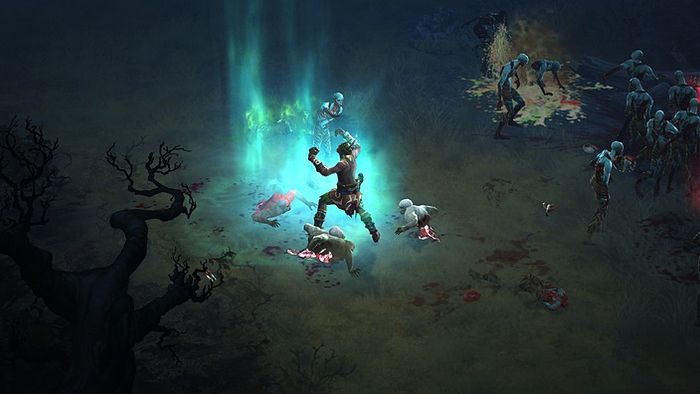 Diablo 3 Witch Docter Class