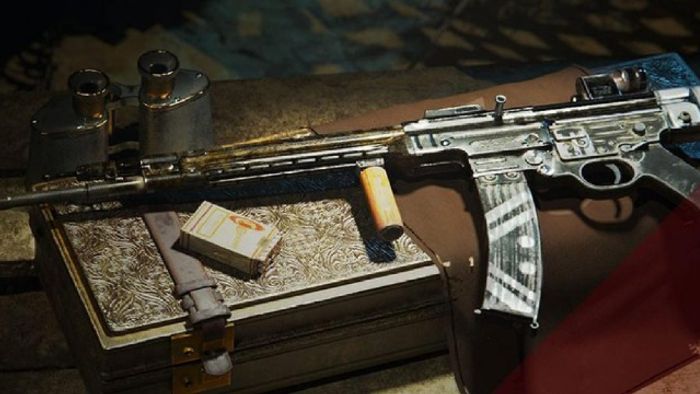 STG 44 COD Vanguard Nerfed