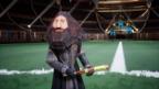 image of polygon hagrid