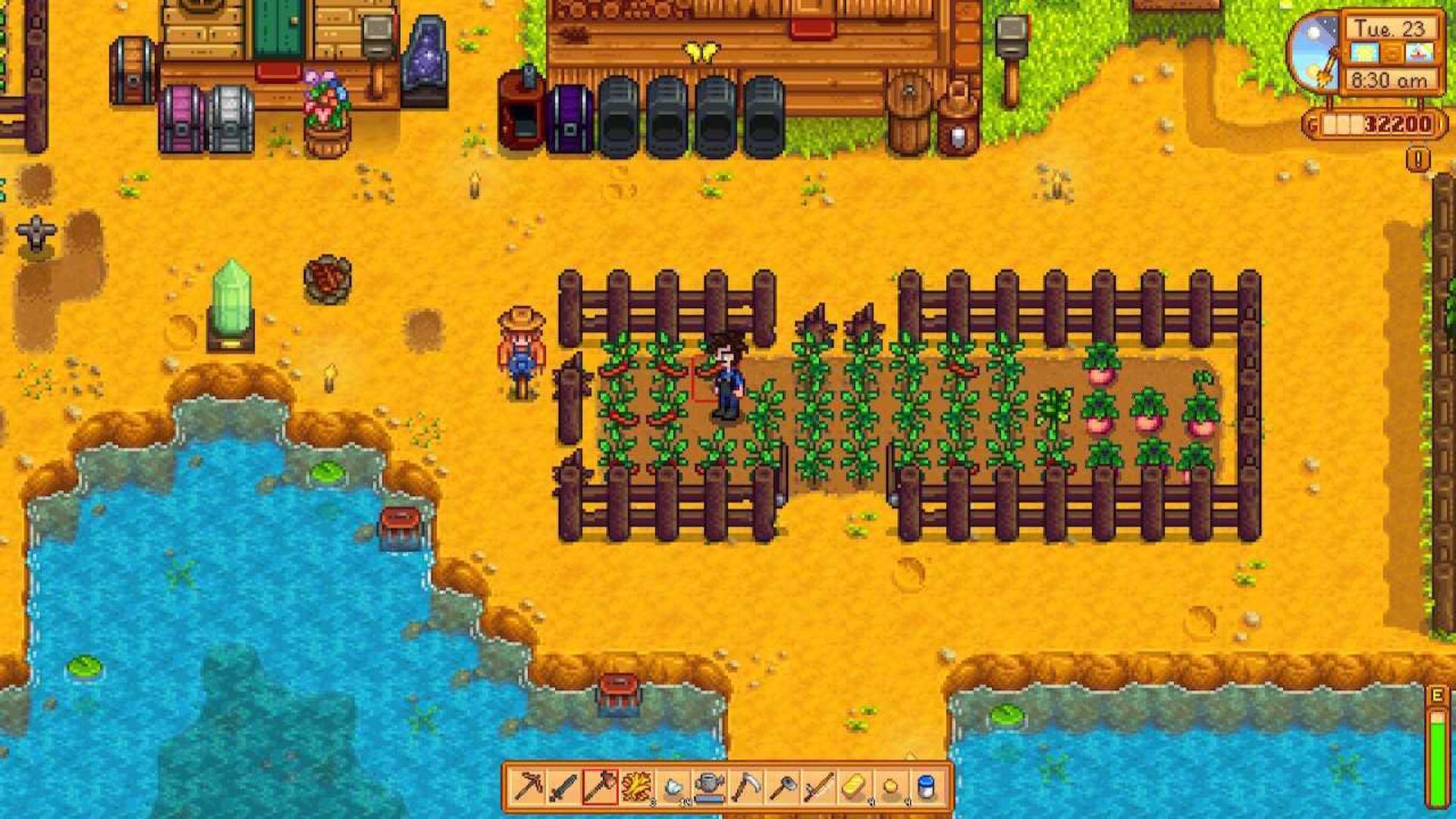 Stardew Valley: How to Get Summer Squash