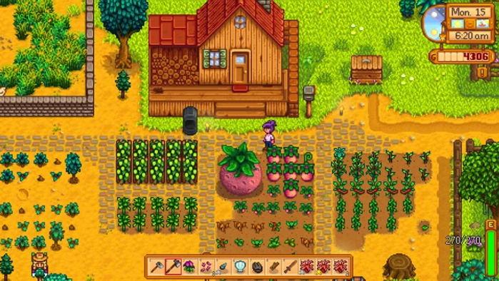 Beginner tips for crops in Stardew Valley