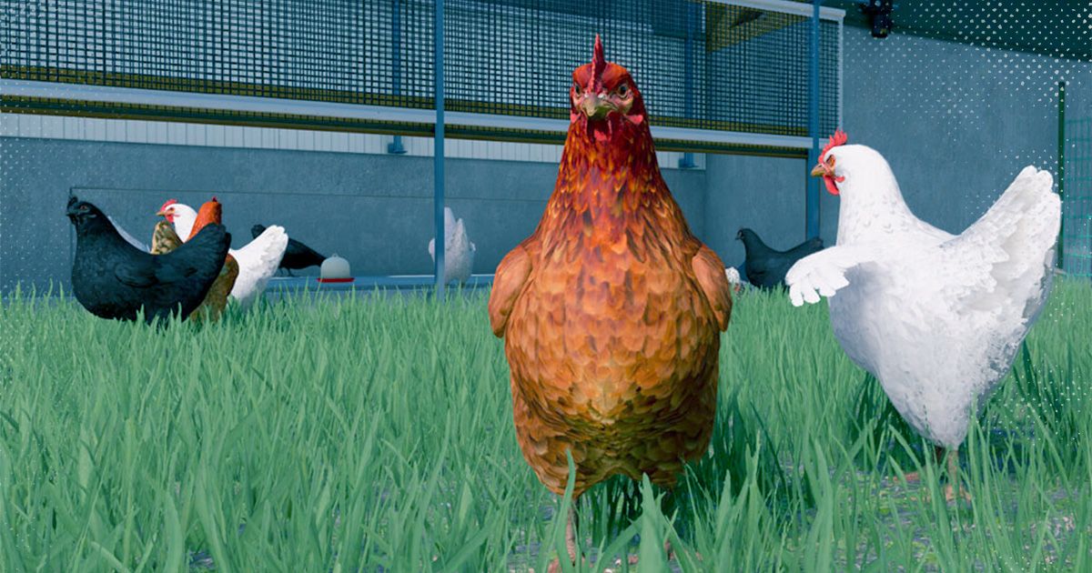 Farming Simulator 22 Chickens: Complete guide, breeding, harvesting & more