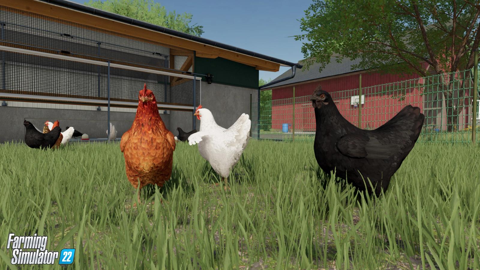 Farming Simulator 22 Chickens: Complete guide, breeding, harvesting & more