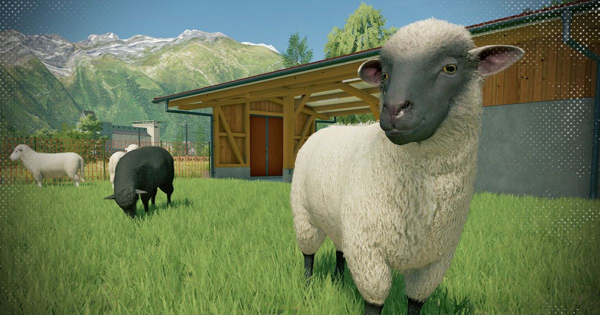 Farming Simulator 22: Complete guide to sheep - Caring, making money, and more!