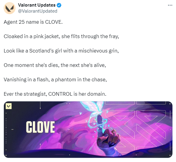 A screenshot from @ValorantUpdated on X regarding Agent 25's name and more.