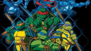 TMNT animated series poster from 2003