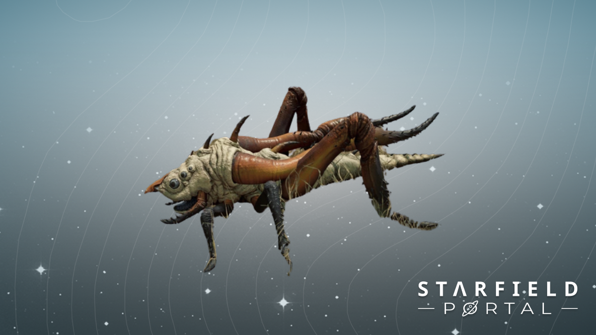 sp Herding Clickbeetle Grazer creatures Image