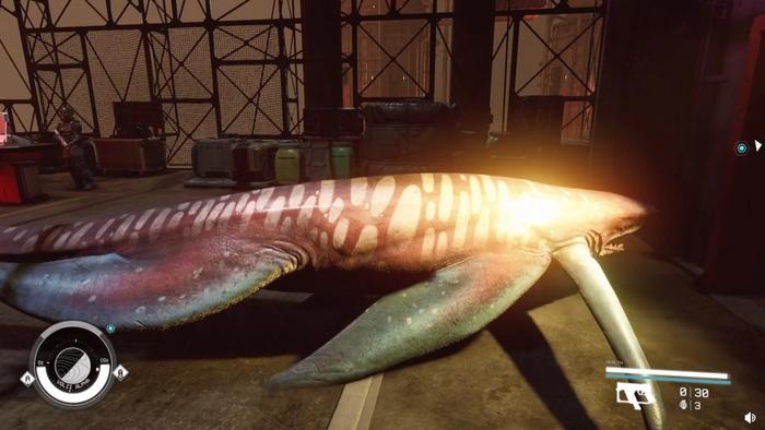 shark-on-dry-land-starfield