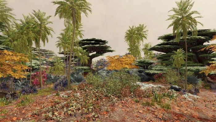 tropicalago-biome-vectera-starfield