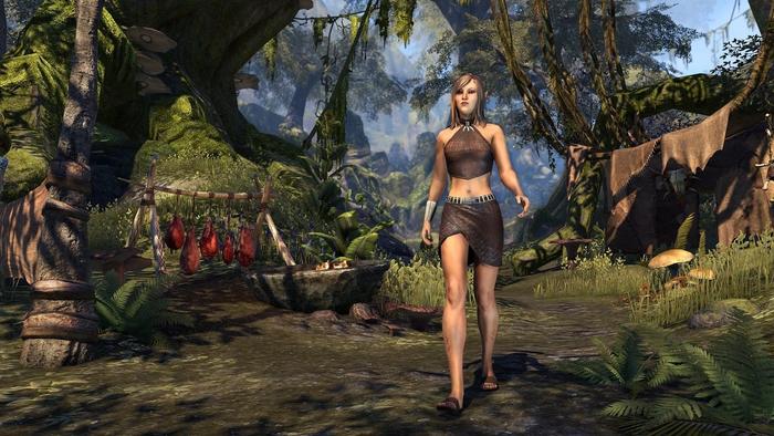 Wood elf active wear elder scrolls online