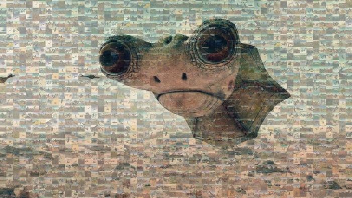 starfield-209-fauna-photo-collage