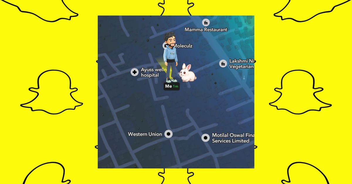An image of a Bitmoji with a pet on Snapchat Map - get and add pet